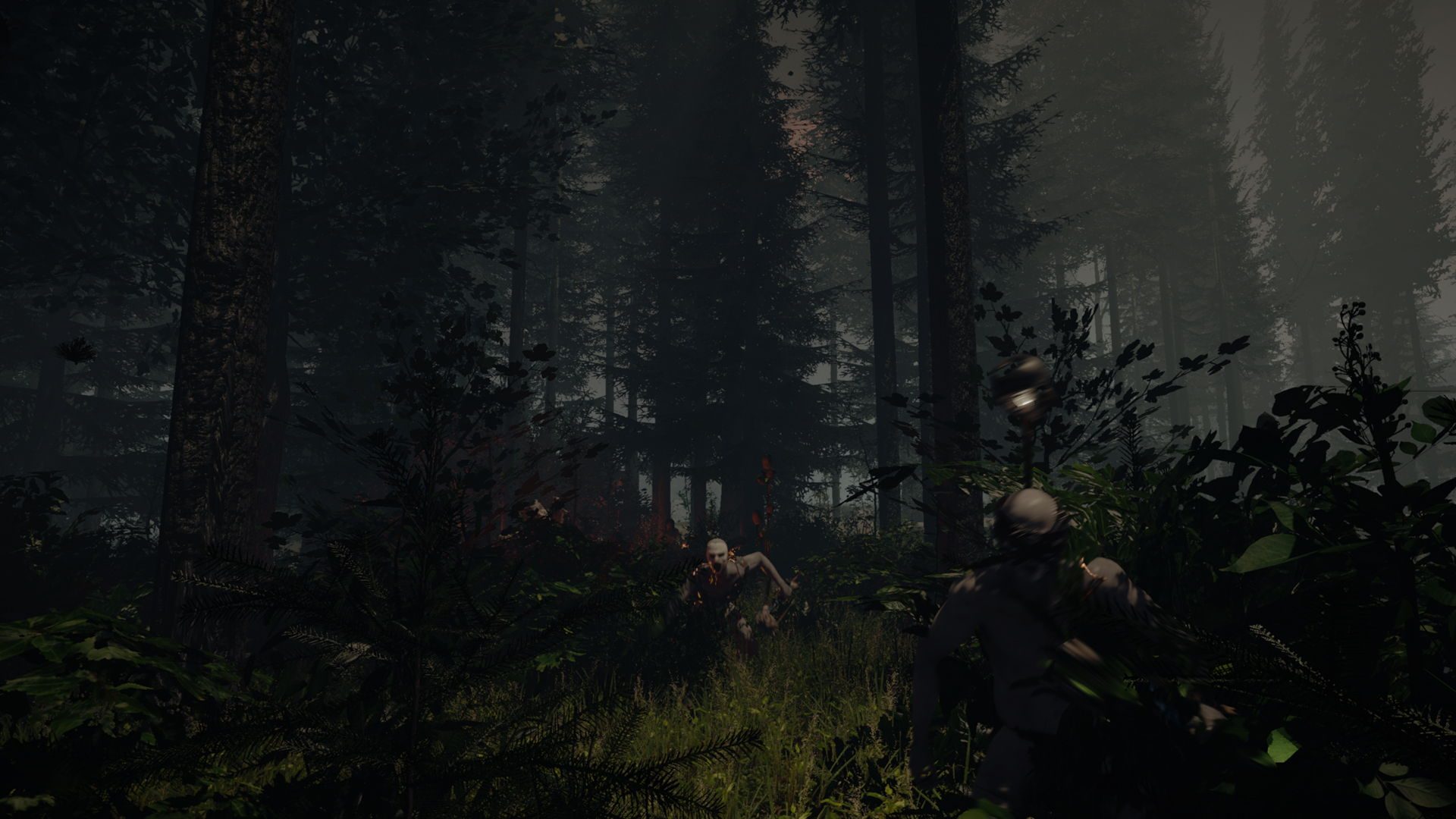 the forest vr controls oculus