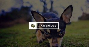 Cramer Invests in Virtual Reality for Dogs with ‘Pawculus Rift’ Project