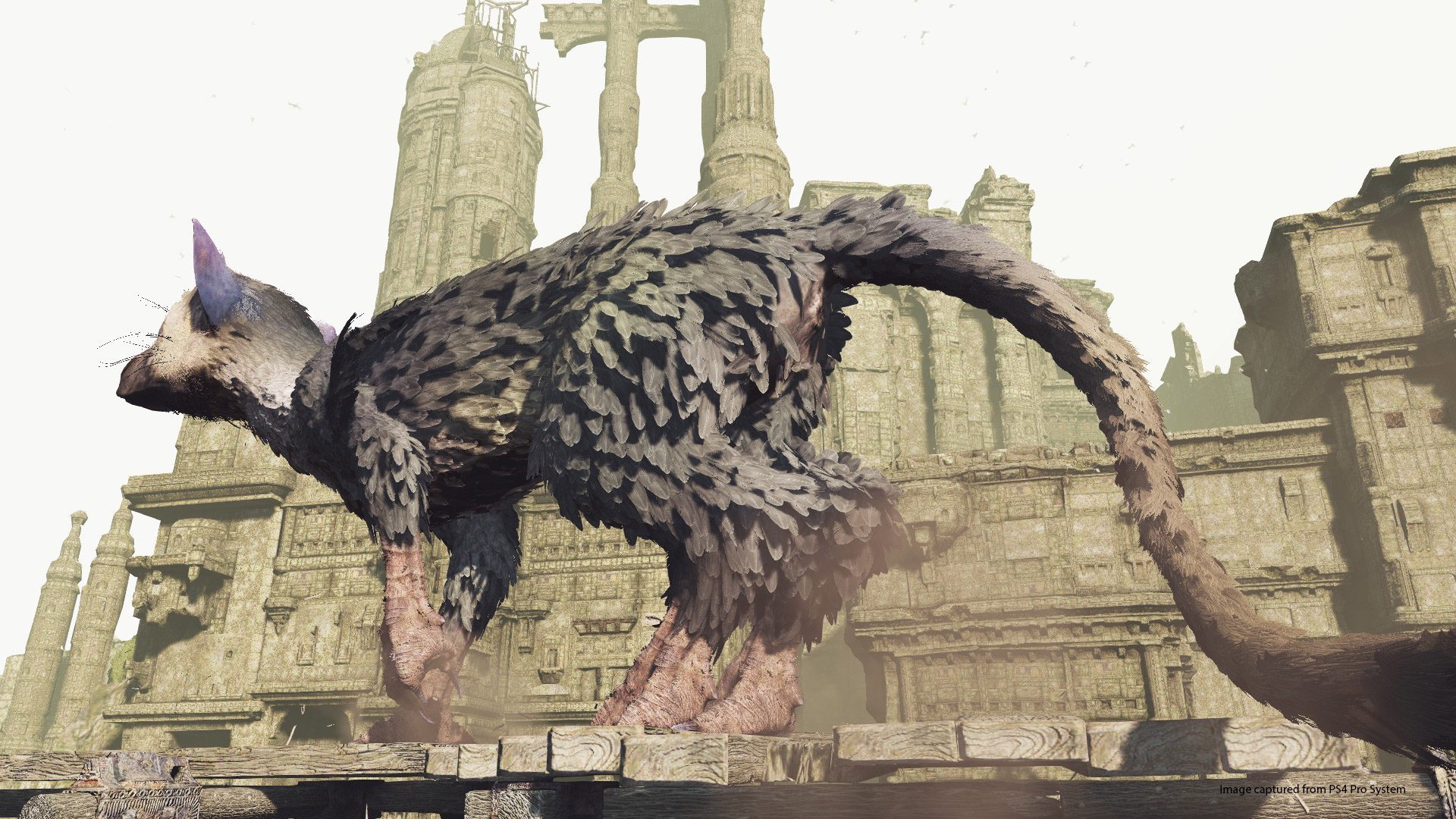 the last guardian ps4 vr