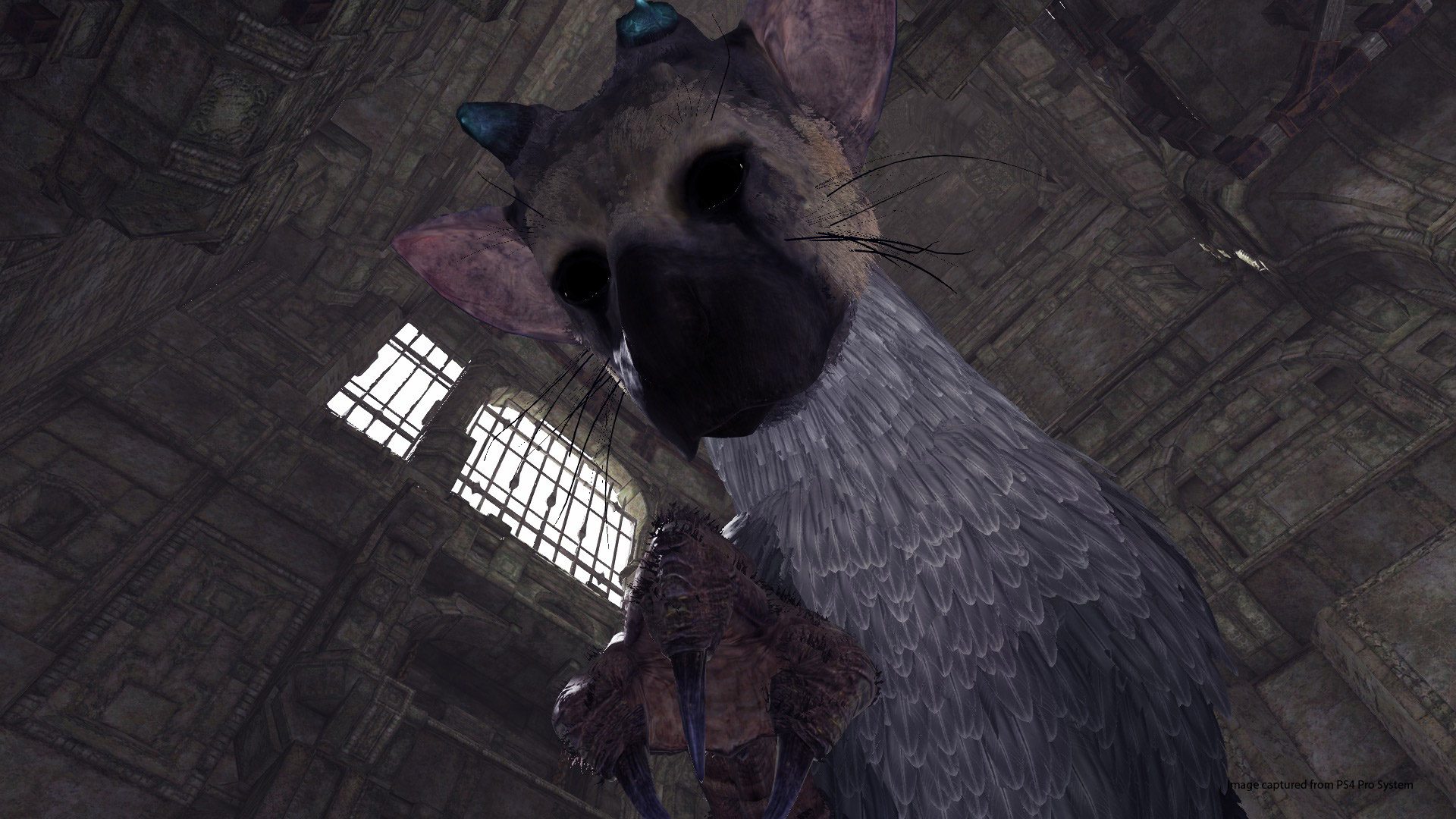 The Last Guardian (PS4) – Review 'Em All