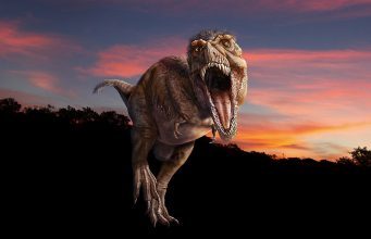 American Museum of Natural History's T. Rex VR Experience Comes to Viveport – Road to VR 1