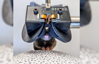 Scientists Build an Itty-bitty VR Headset to Better Study Mice